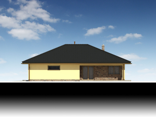 Array - perspektiva PL